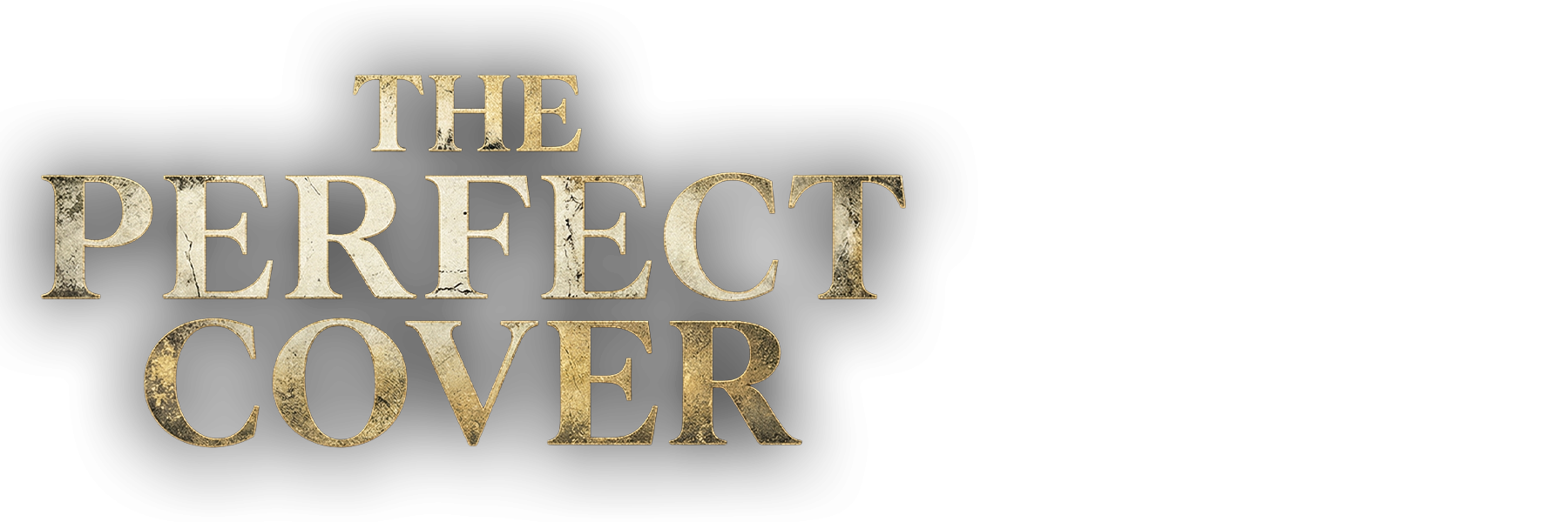 The Perfect Cover